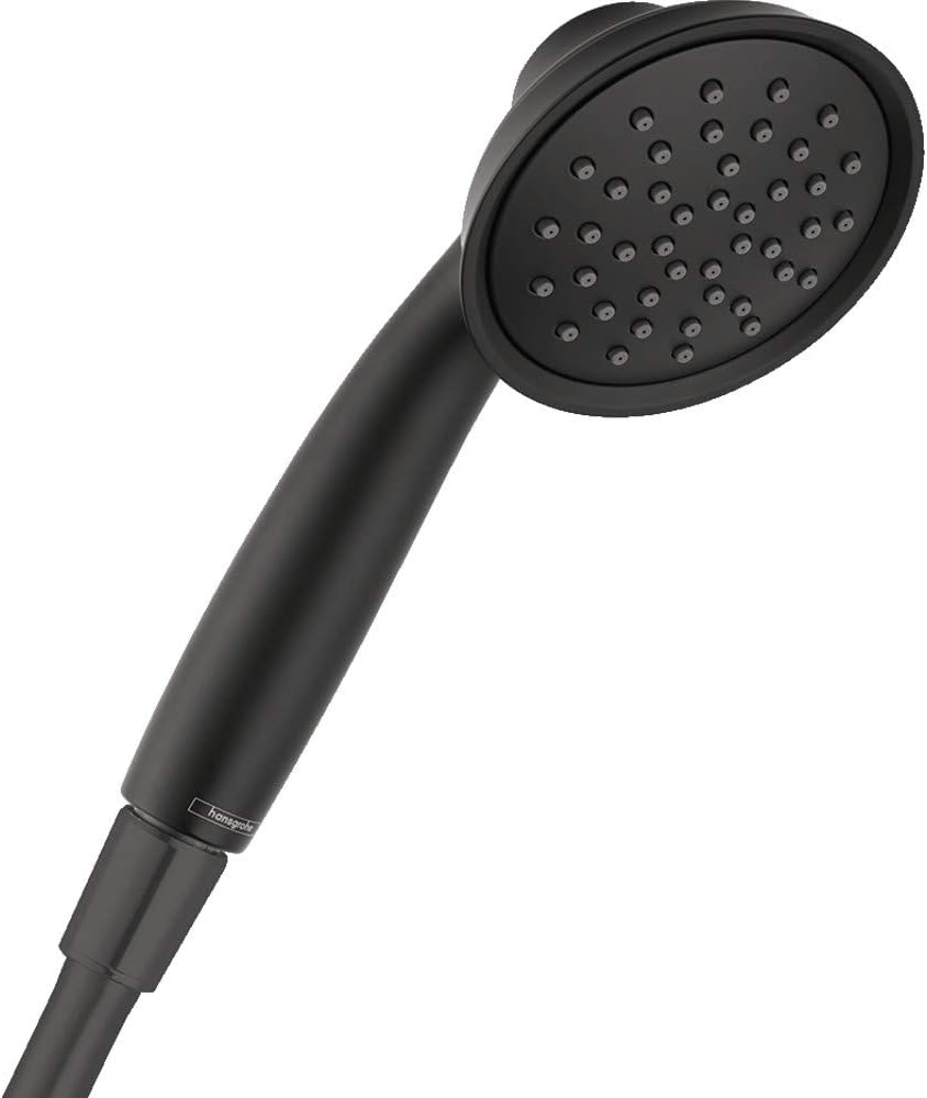 Handheld Shower Head P93053