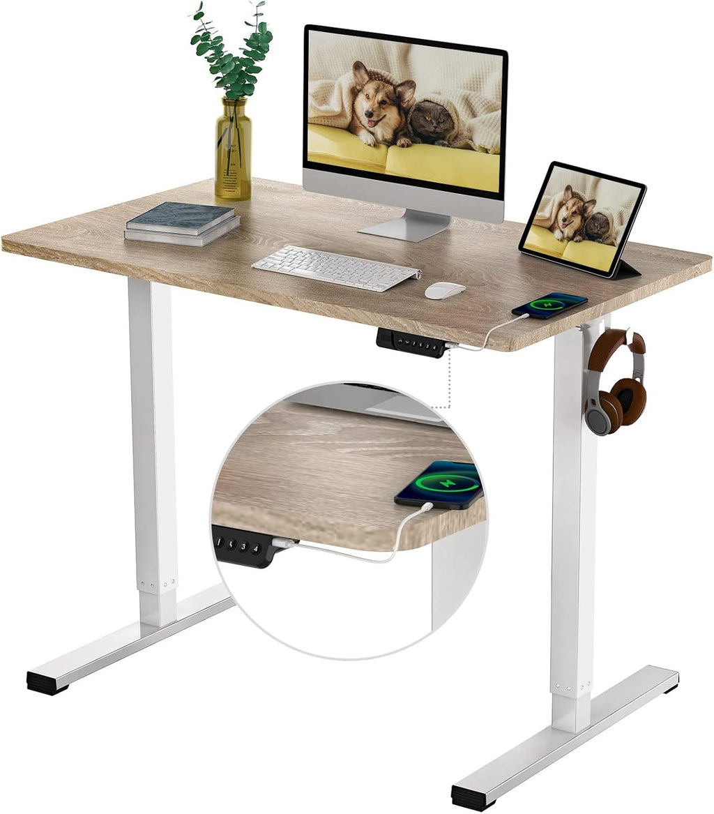 48 x 24 Inches Electric Stand Up Desk with Memory Controller T65850