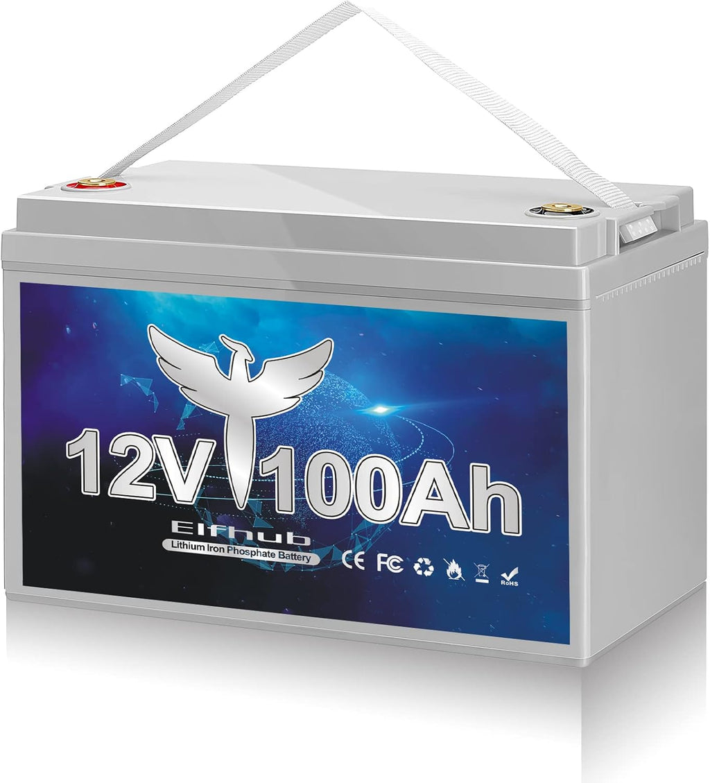 12V 100Ah Deep Cycle LiFePO4 Battery with Built-in BMS G4589