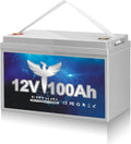 12V 100Ah Deep Cycle LiFePO4 Battery with Built-in BMS G4589