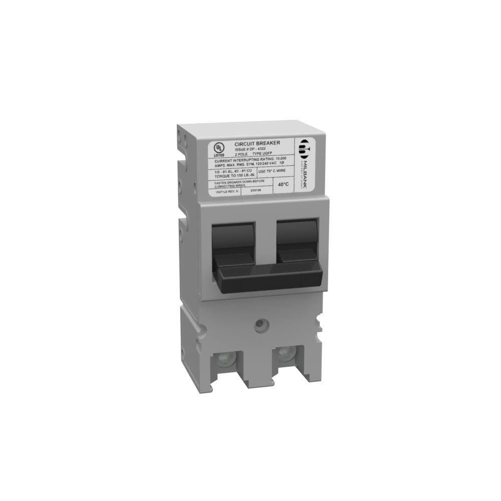 100A 2p Plug-In CB O2613