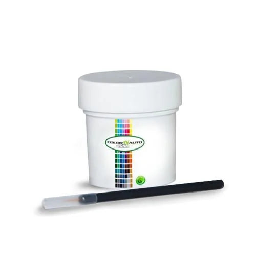 1 Oz Single Stage Automotive Paint R460790