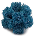 1-1/2 in x 1/2 in x 2 Ply Buff and Blend Cross Buff S327