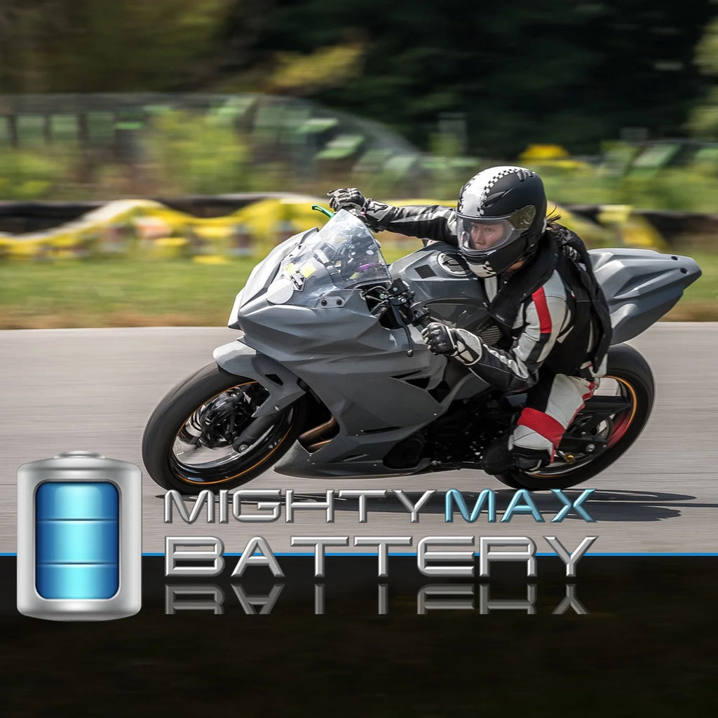 2 Pack Lithium Replacement Battery H9296