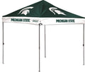 10 x 10 Straight Leg Canopy with Carry Bag R81277