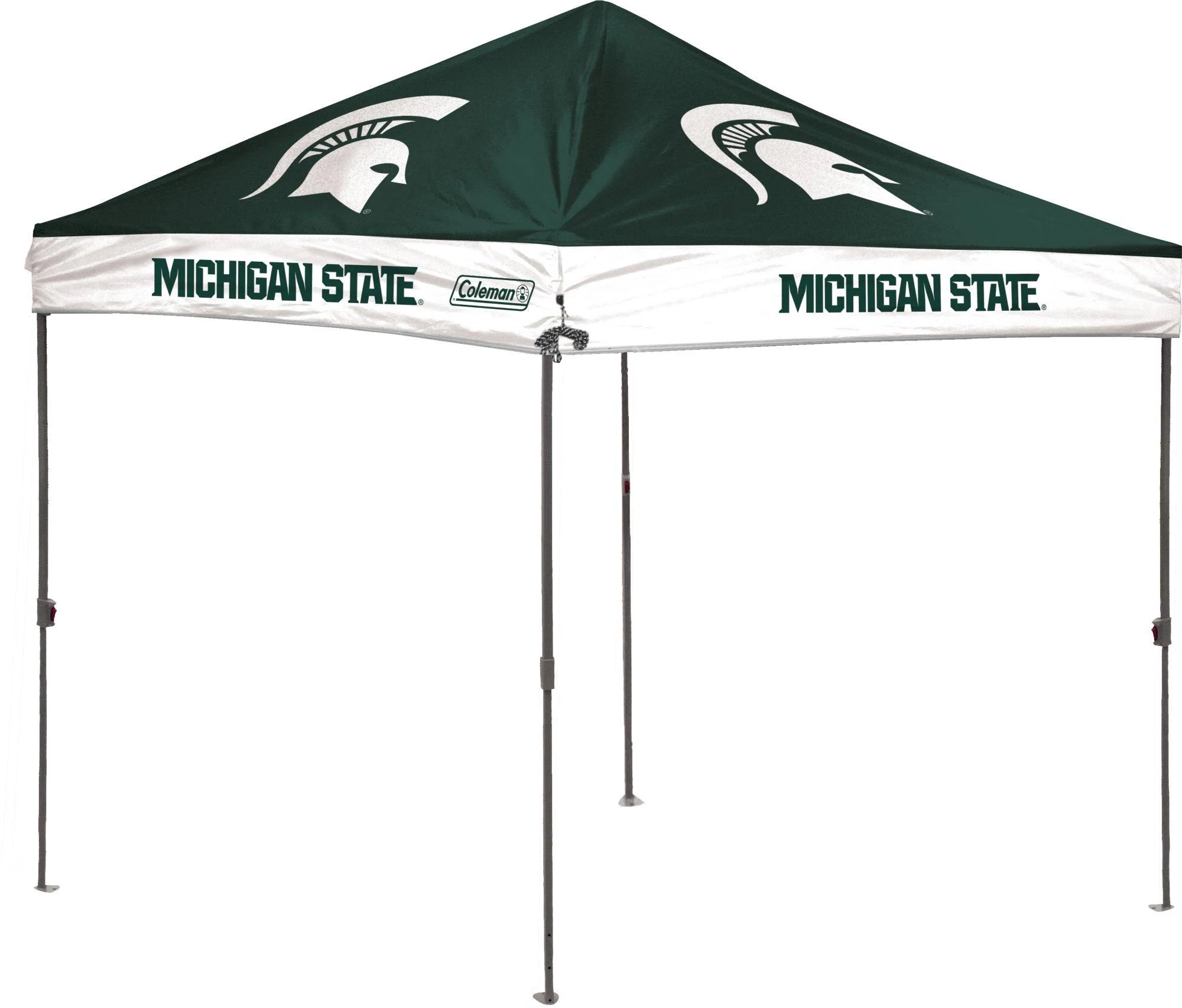 10 x 10 Straight Leg Canopy with Carry Bag R81277