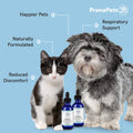Respiratory Formula 2 Pack Herbal Formula for Dogs and Cats N3147