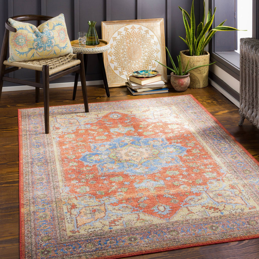 Burnt Orange Traditional Area Rug L9128