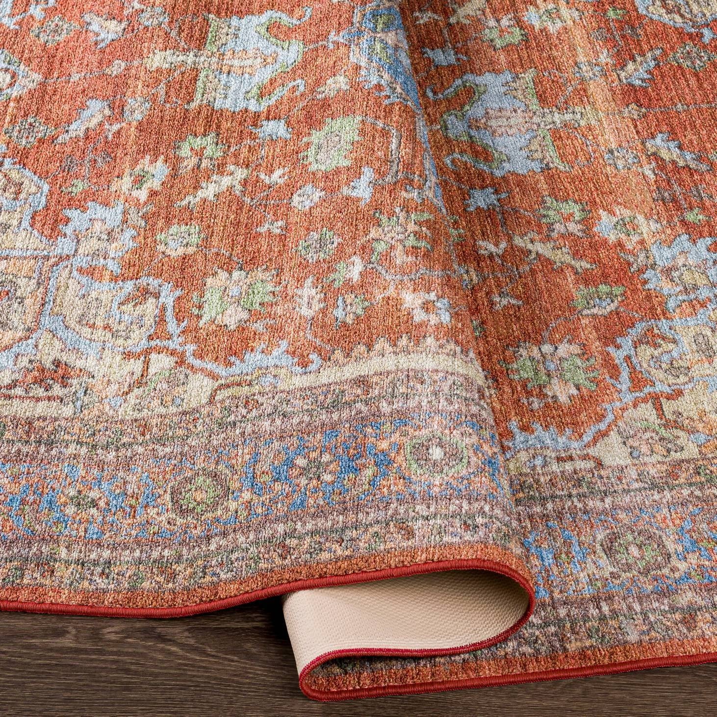 Burnt Orange Traditional Area Rug L9128