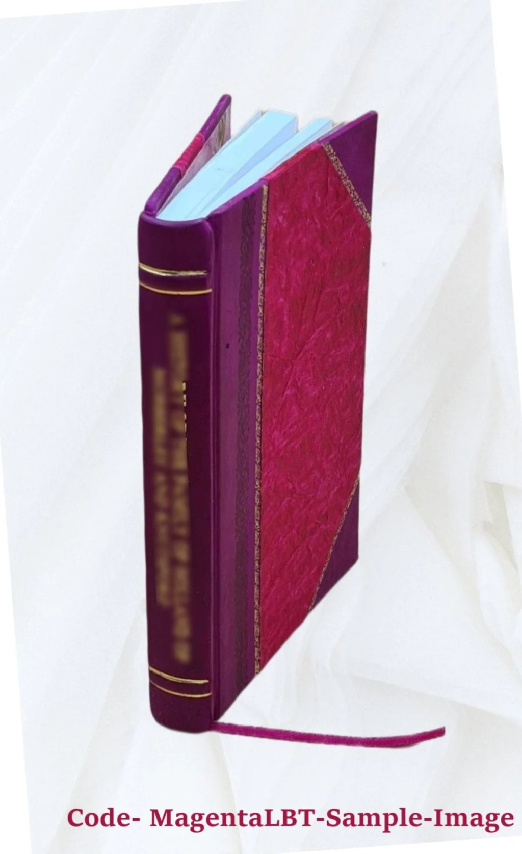 Leather Bound Book I99943
