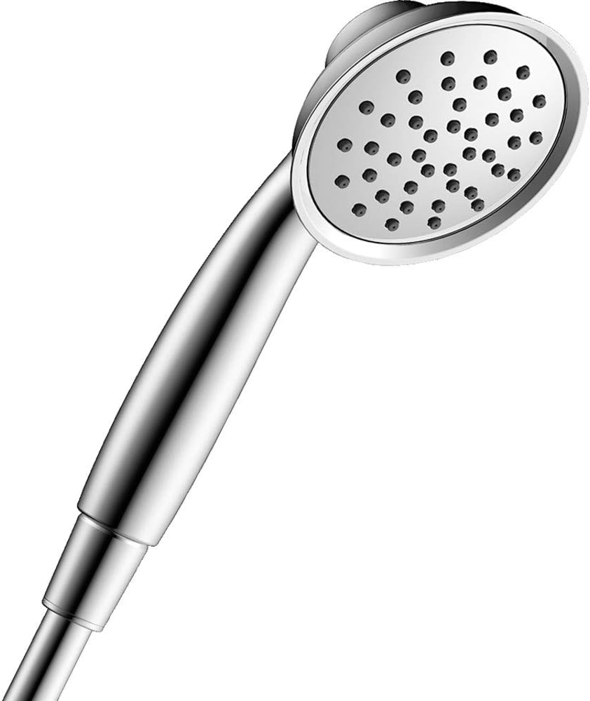 Handheld Shower Head P93053
