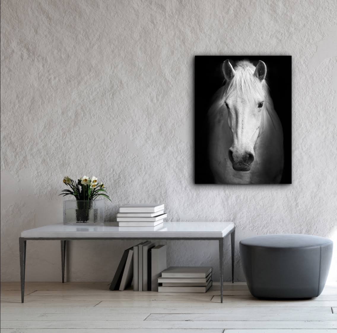 White Horse Face Photography Canvas Art K93129