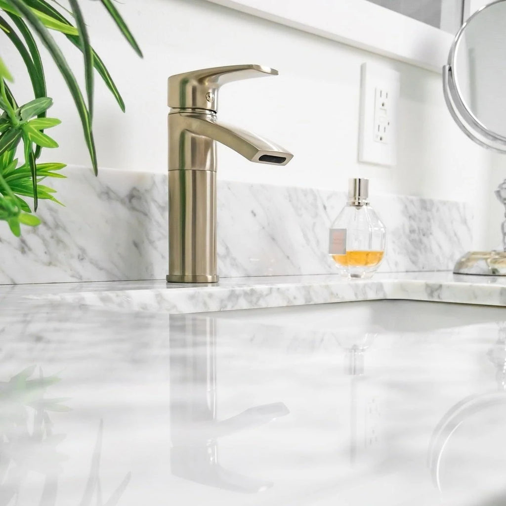 Brushed Nickel Single Hole Bathroom Sink Faucet with Swivel Spout E579115