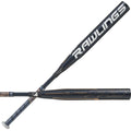 Fastpitch Softball Bat Z3858