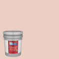 5-Gallon Eggshell Interior Paint D6063
