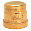2-1/2x22 Copper Cap Z576653
