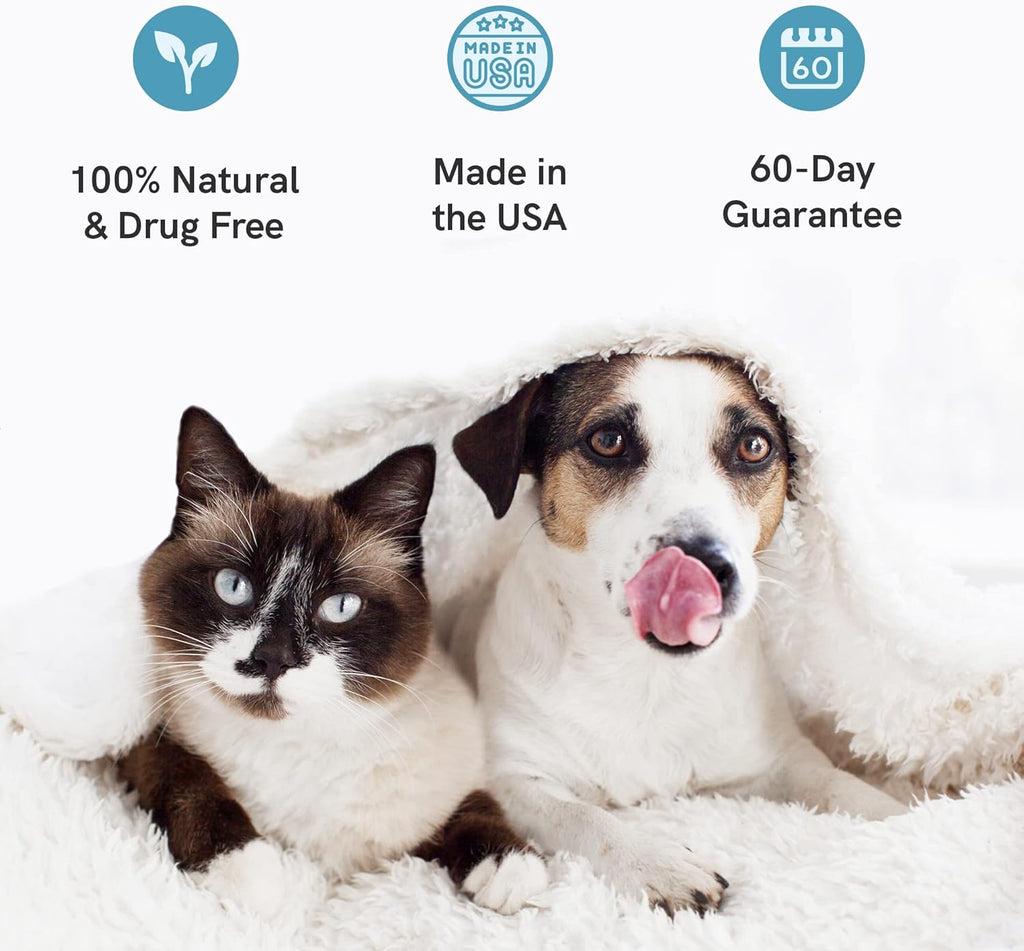 Respiratory Formula 2 Pack Herbal Formula for Dogs and Cats N3147