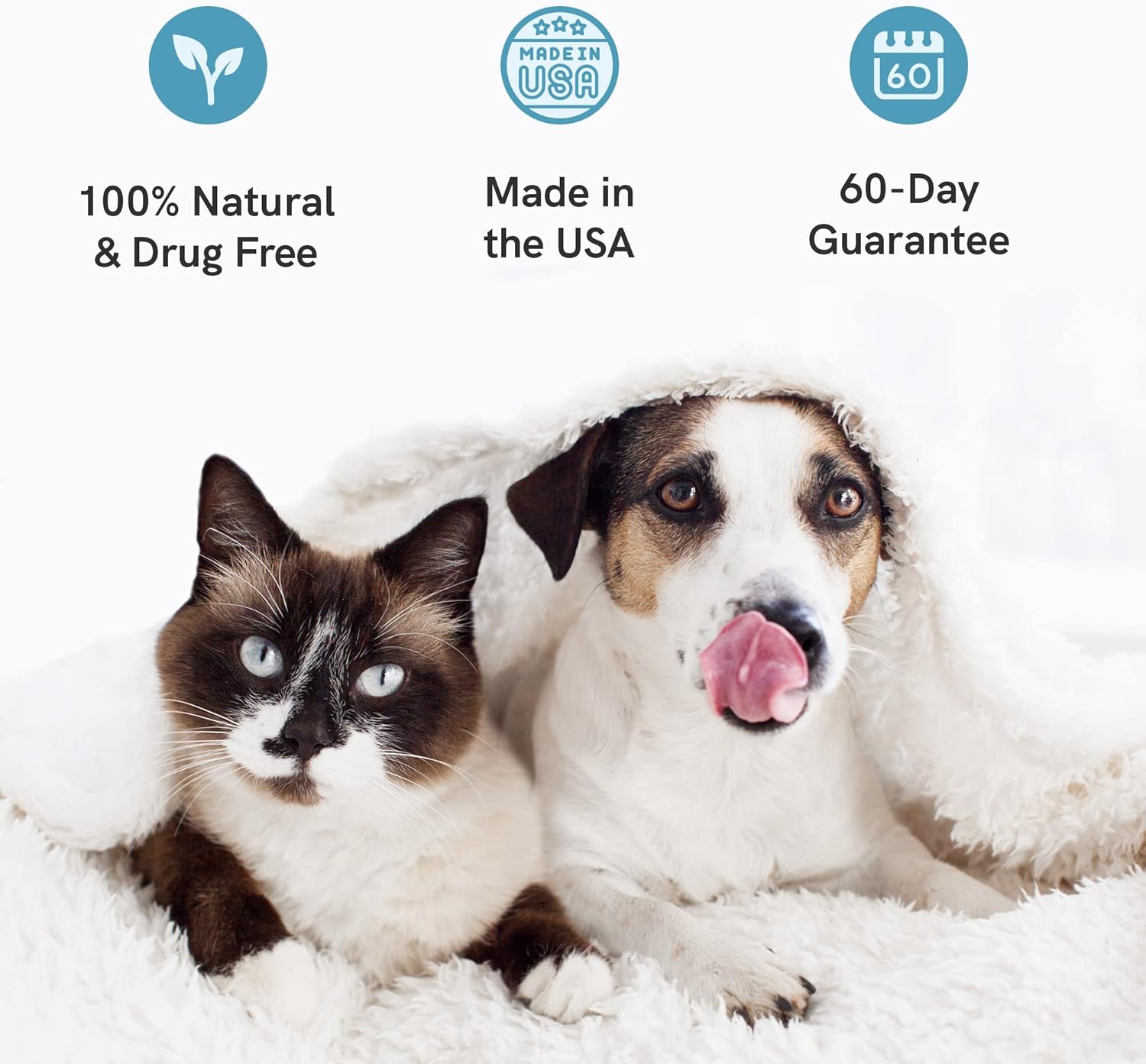 Respiratory Formula 2 Pack Herbal Formula for Dogs and Cats N3147