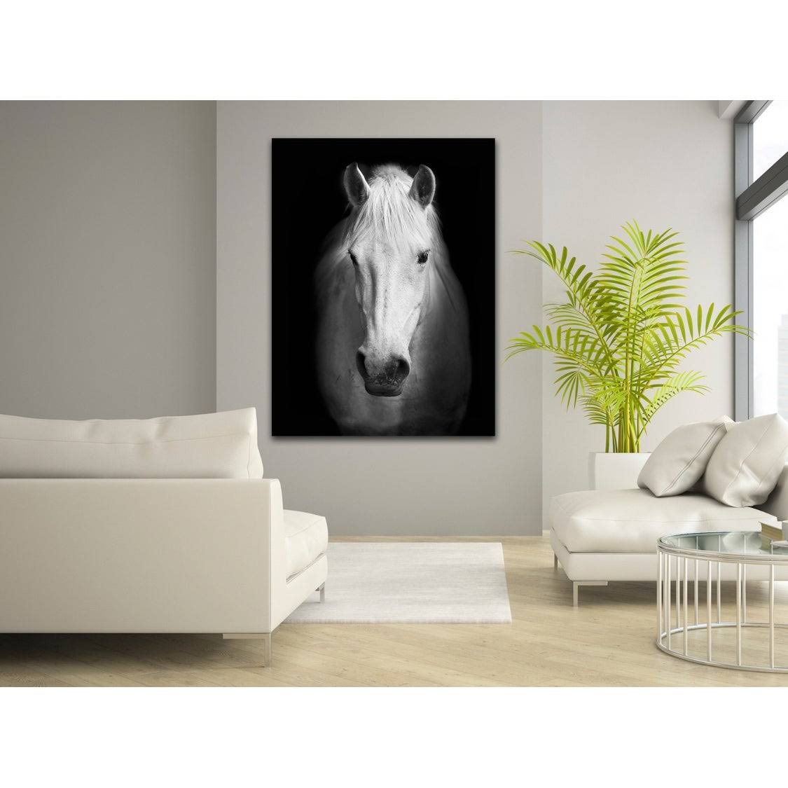White Horse Face Photography Canvas Art K93129