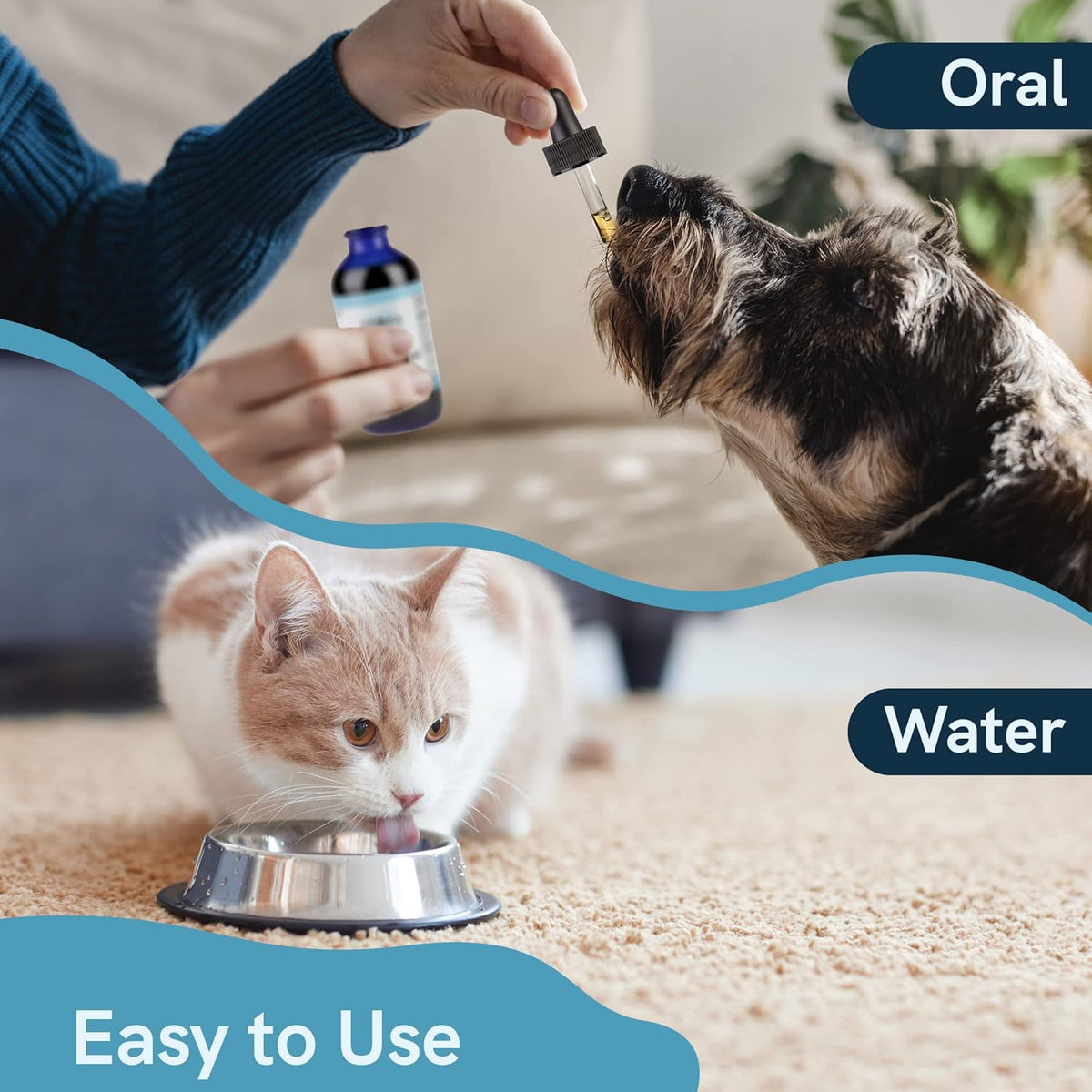 Respiratory Formula 2 Pack Herbal Formula for Dogs and Cats N3147
