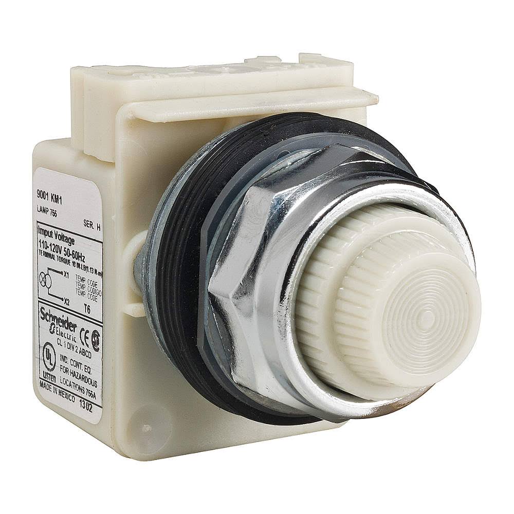 Pilot Light, White, 110-120V I245556