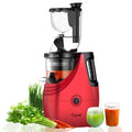 Slow Masticating Cold Press Juicer B2147