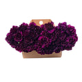 140 Stems Carnations E8817