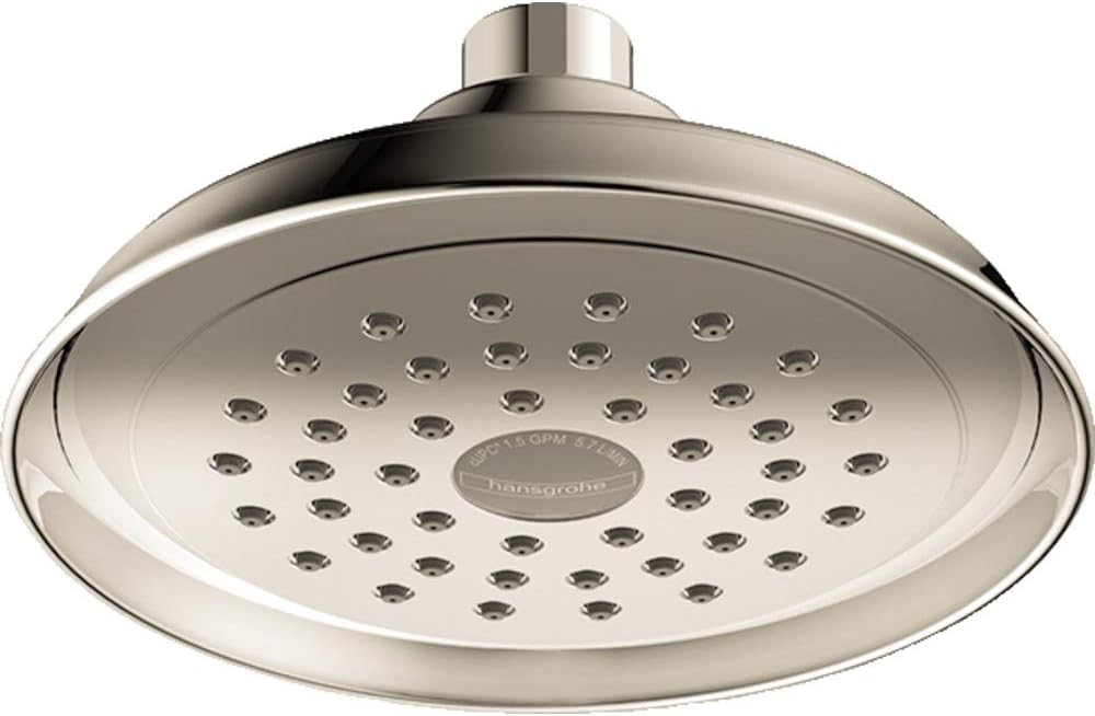 Handheld Shower Head P93053
