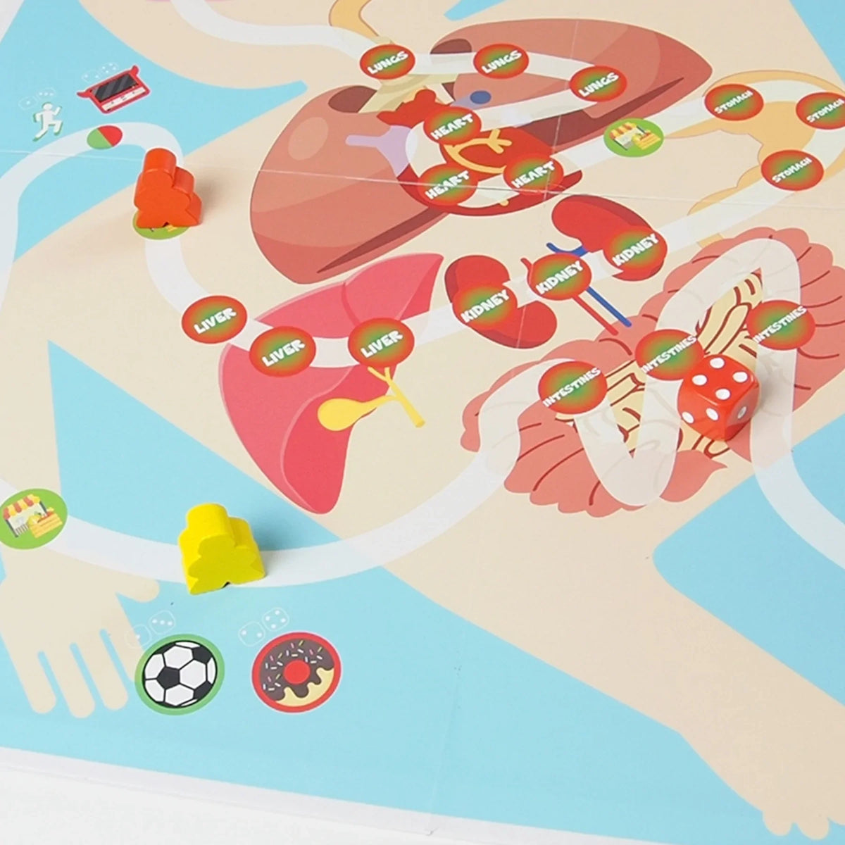 Biology Board Game for Kids Ages 5 and up L477160