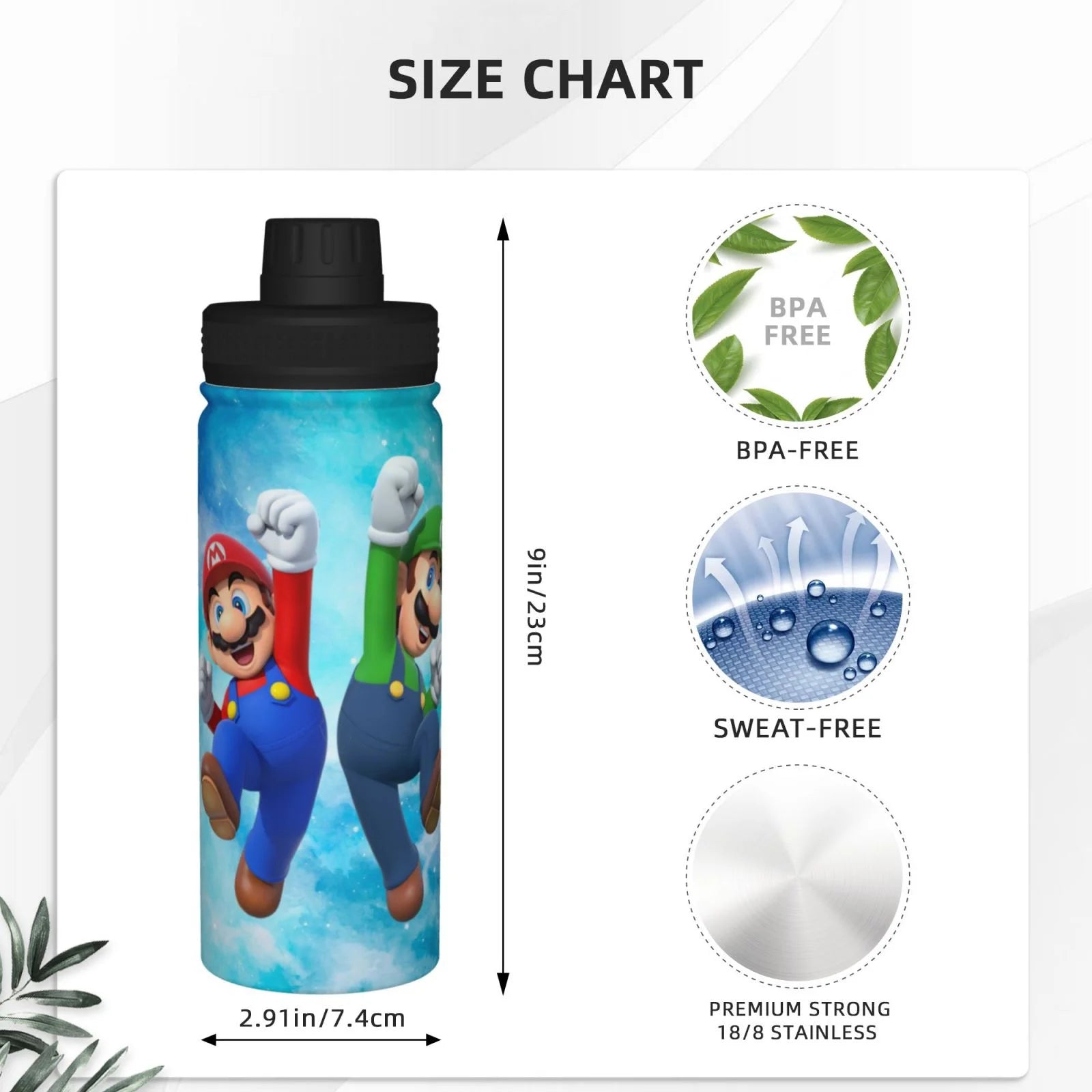 Insulated Stainless Steel Water Bottle 18OZ R4792