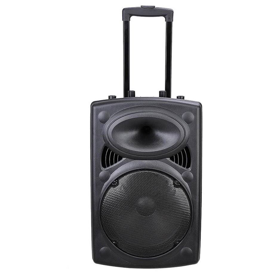 Portable Active PA Speaker with Bluetooth and Wireless Microphone H69432