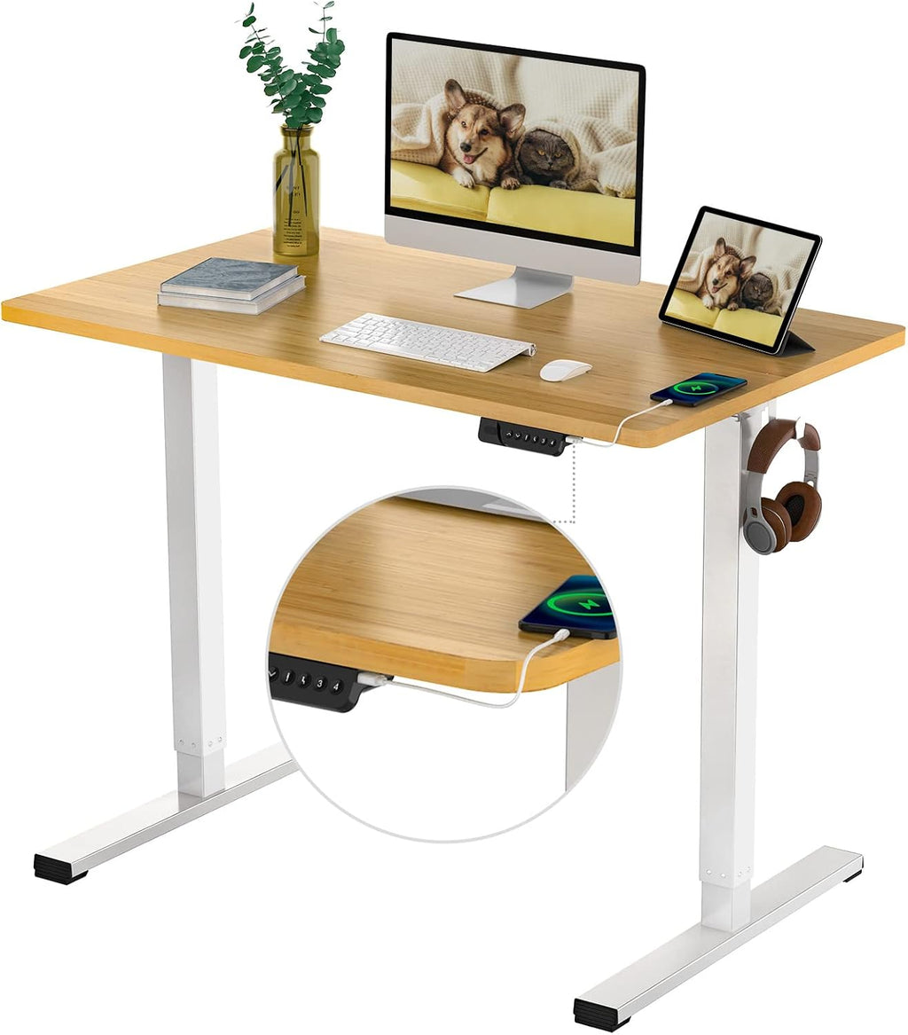 48 x 24 Inches Electric Stand Up Desk with Memory Controller T65850