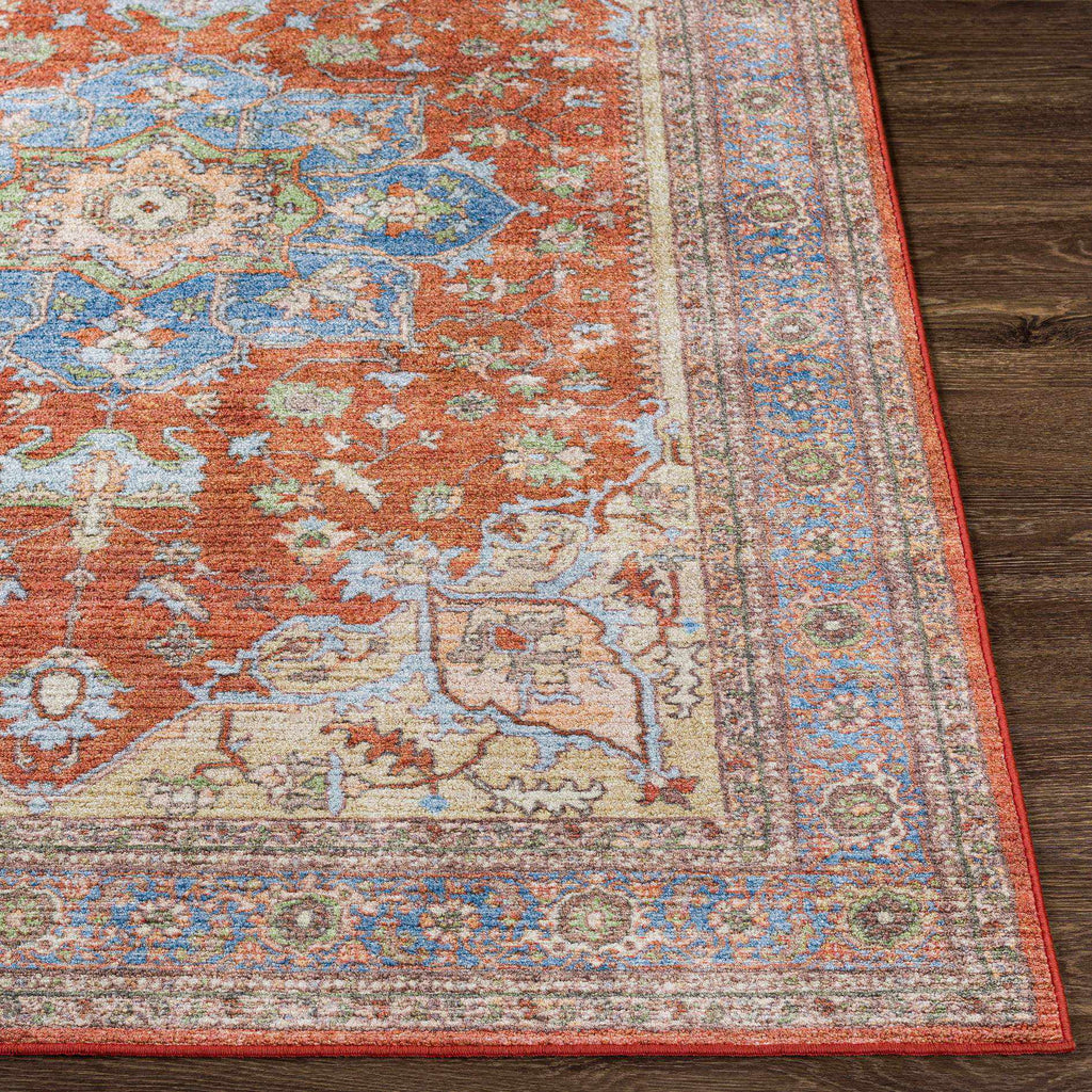 Burnt Orange Traditional Area Rug L9128